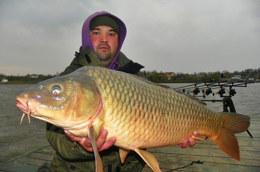 pescuit ,pur si simplu - 1001668jpgoriginal.jpg